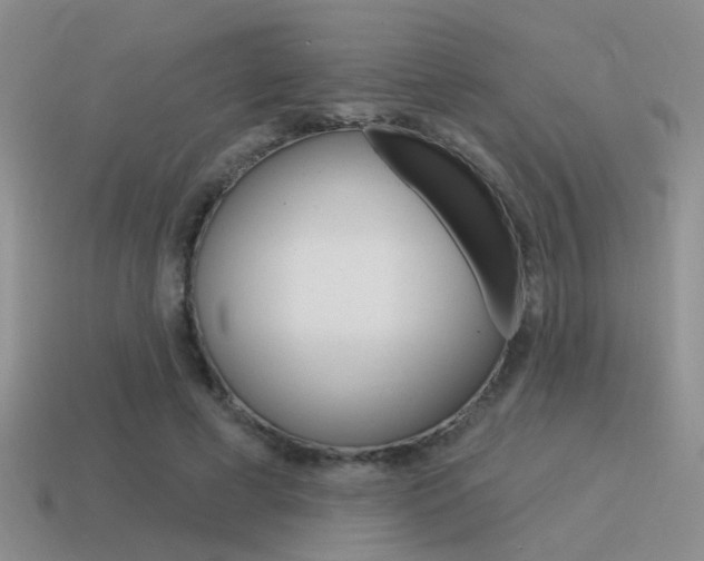 X0000115550593200911061128