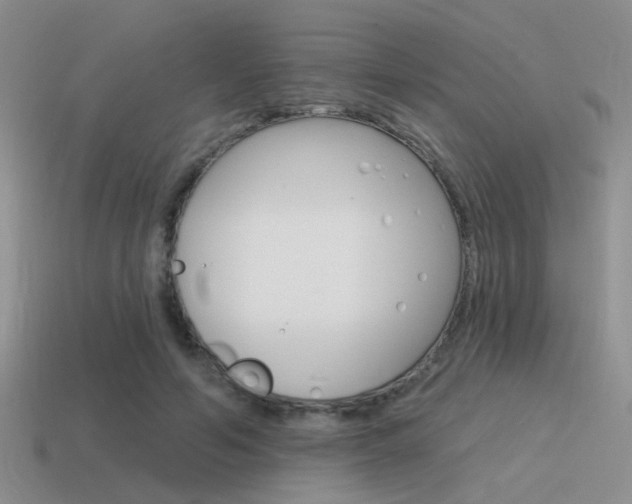 X0000115550594200911061128