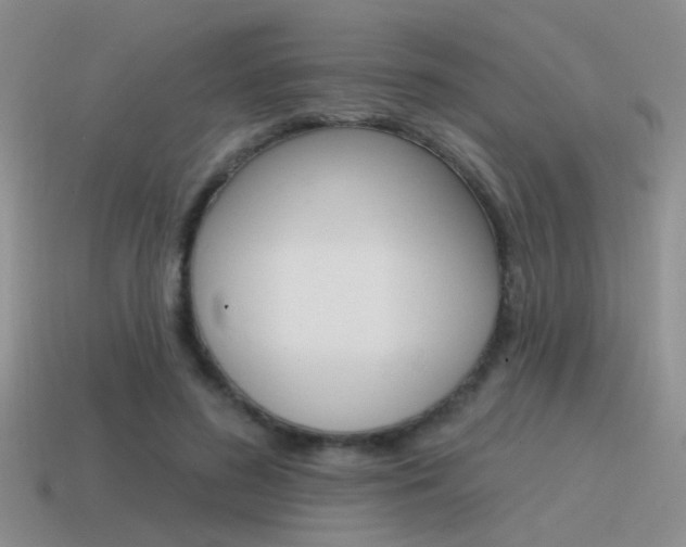X0000115550596200911061128