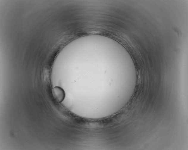 X0000115550598200911061128