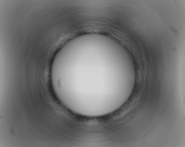 X0000115550600200911061128