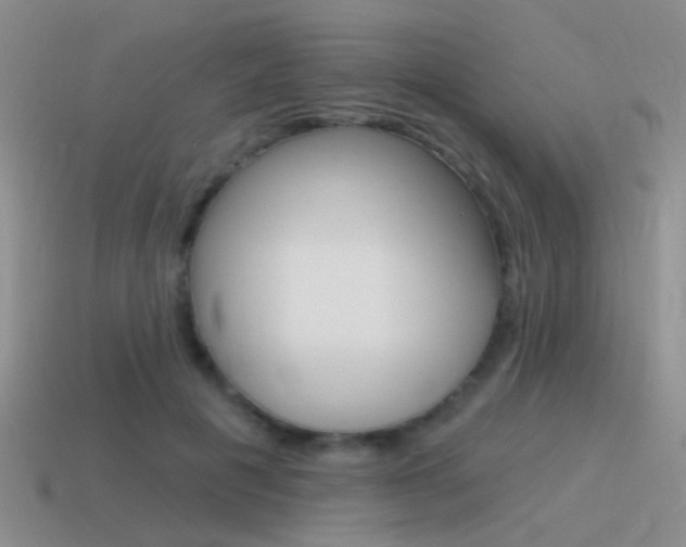 X0000115550601200911061128