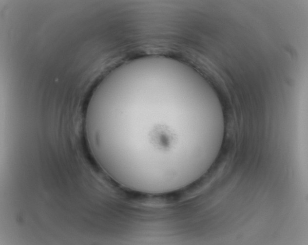 X0000115550604200911061128