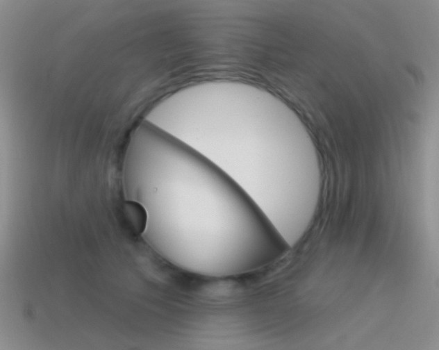 X0000115550609200911061128