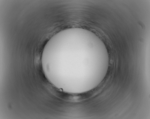 X0000115550610200911061128