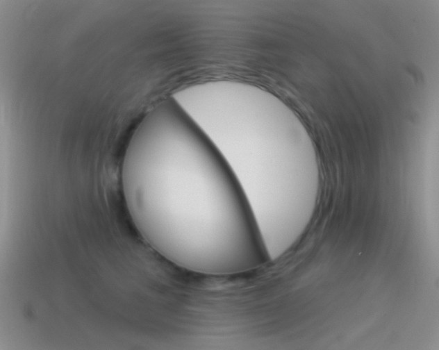 X0000115550613200911061128