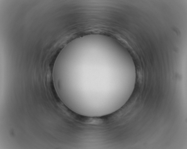 X0000115550617200911061128