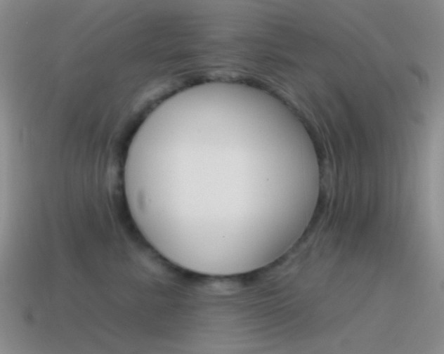 X0000115550619200911061128