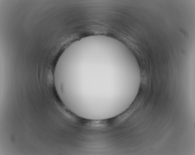 X0000115550622200911061128
