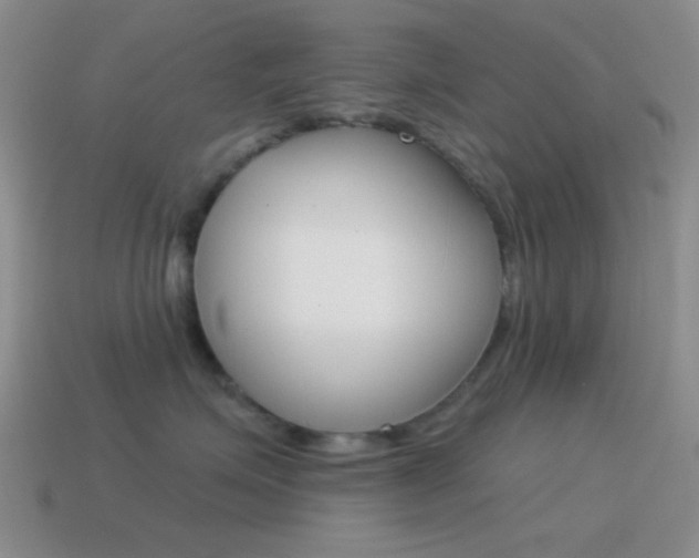 X0000115550623200911061128