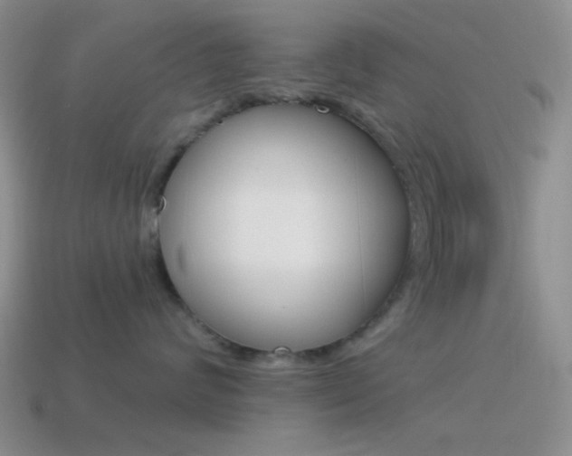 X0000115550624200911061128