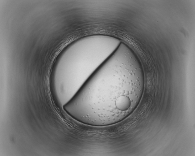 X0000115550626200911061127