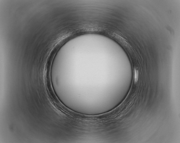 X0000115550627200911061127