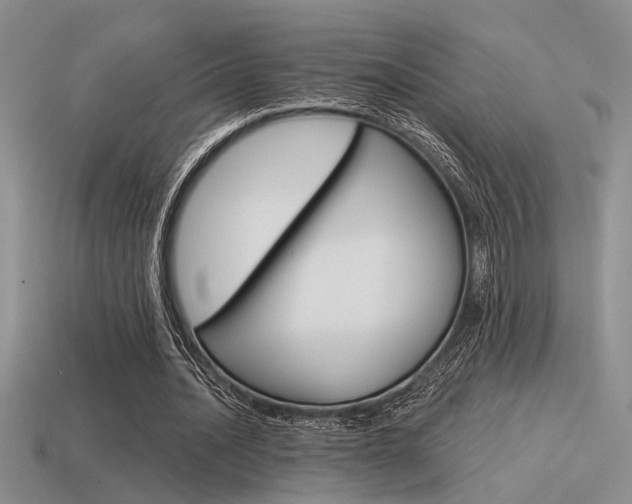 X0000115550628200911061127