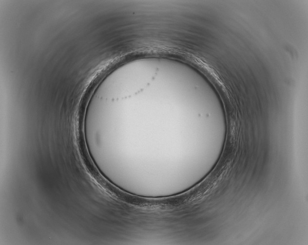 X0000115550629200911061127