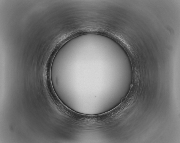 X0000115550631200911061127