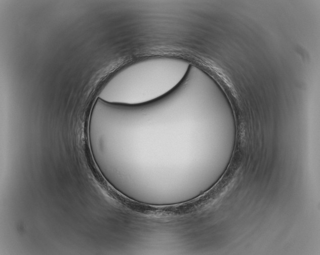 X0000115550633200911061127