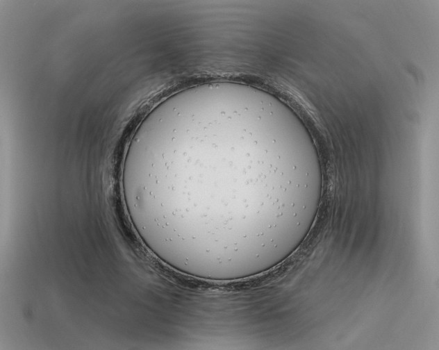 X0000115550635200911061127