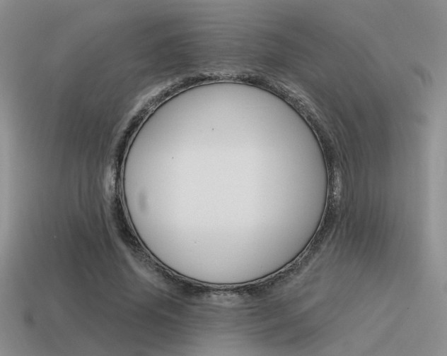X0000115550636200911061127