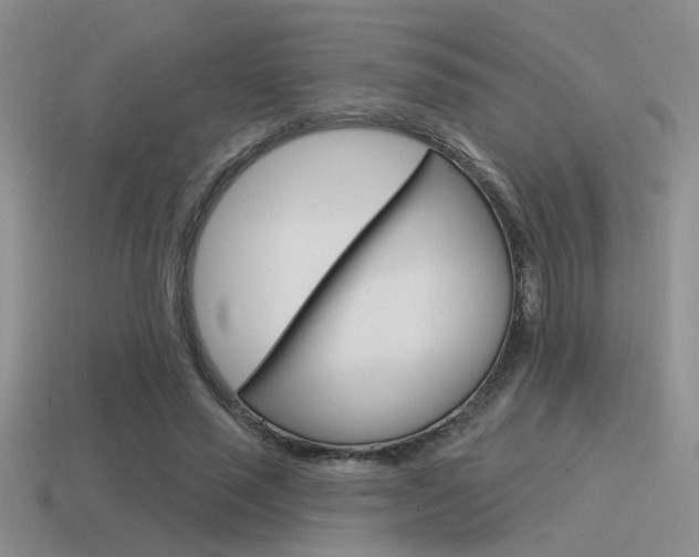 X0000115550637200911061127
