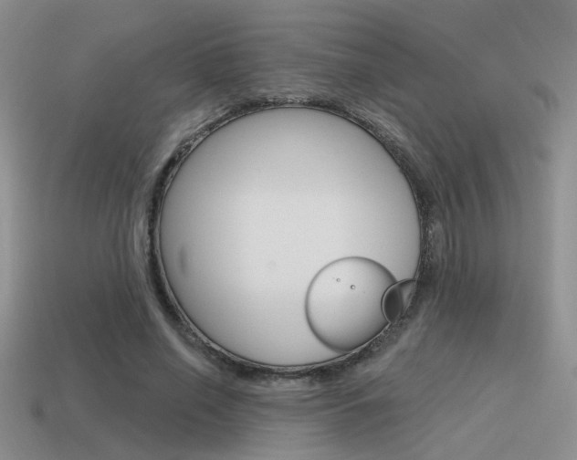 X0000115550638200911061127