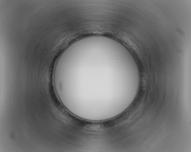 X0000115550639200911061127