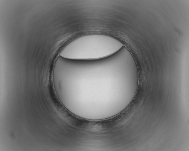X0000115550640200911061127