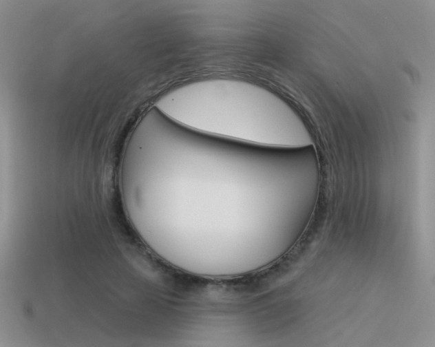 X0000115550641200911061127