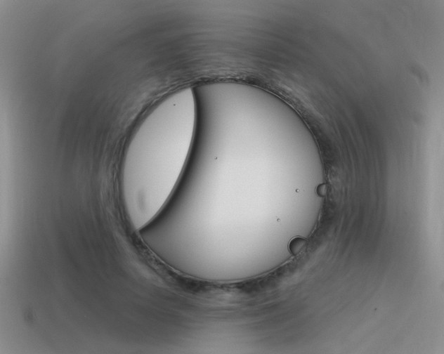 X0000115550642200911061127