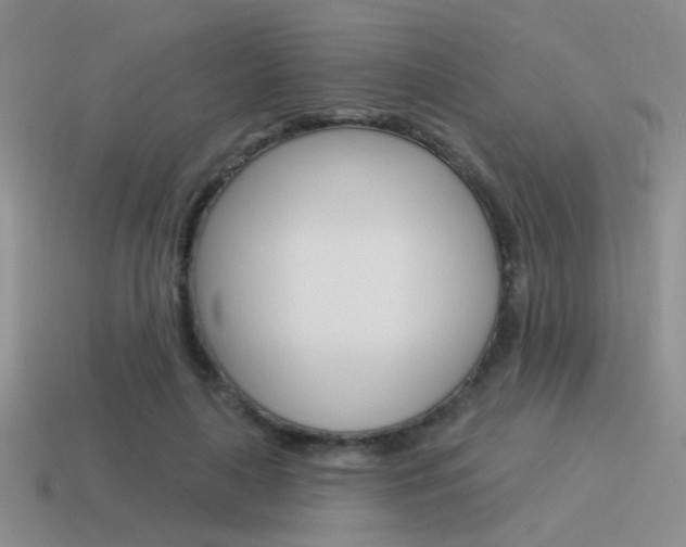 X0000115550643200911061128