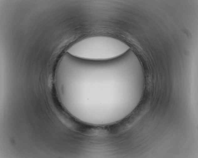 X0000115550644200911061128