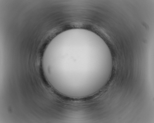 X0000115550645200911061128