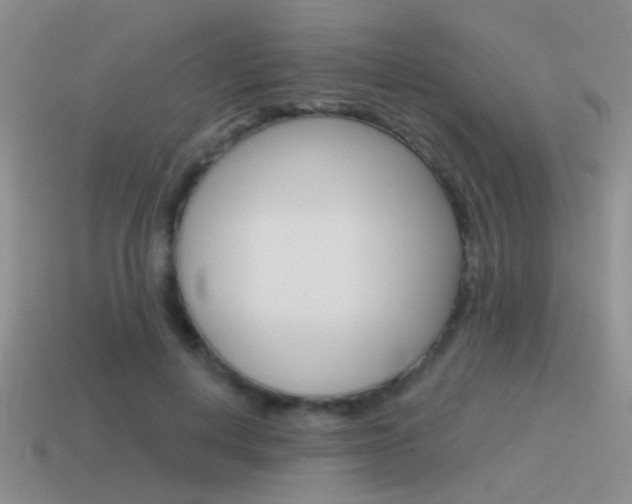 X0000115550648200911061128