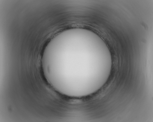 X0000115550649200911061128