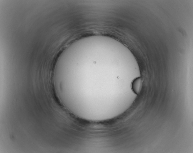 X0000115550650200911061128