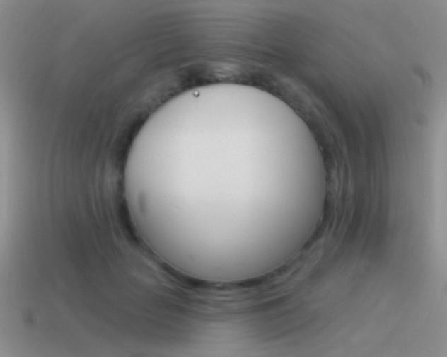 X0000115550653200911061128