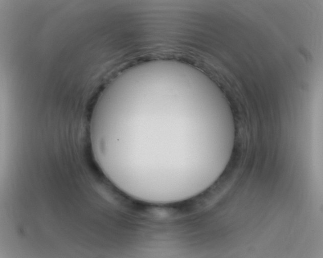 X0000115550654200911061128