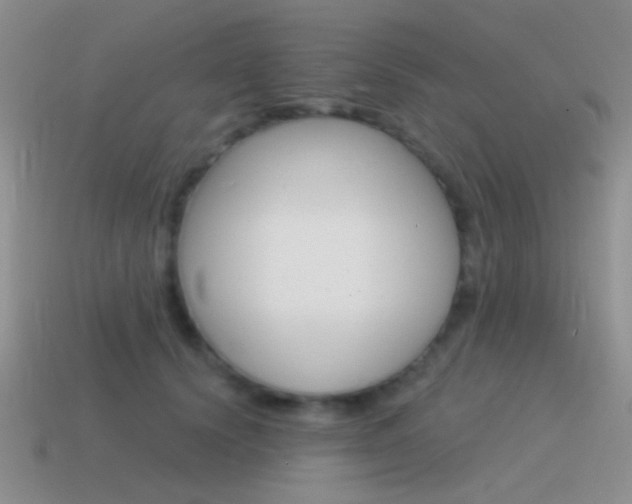 X0000115550656200911061128