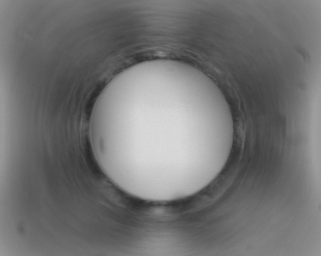 X0000115550657200911061128