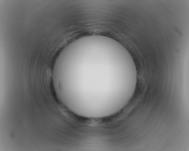 X0000115550660200911061128
