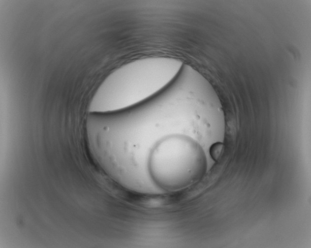 X0000115550662200911061128