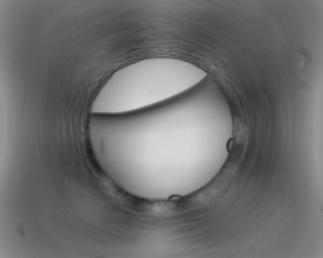 X0000115550670200911061128