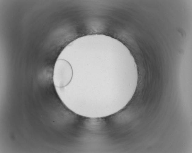 X0000115550672200911061128