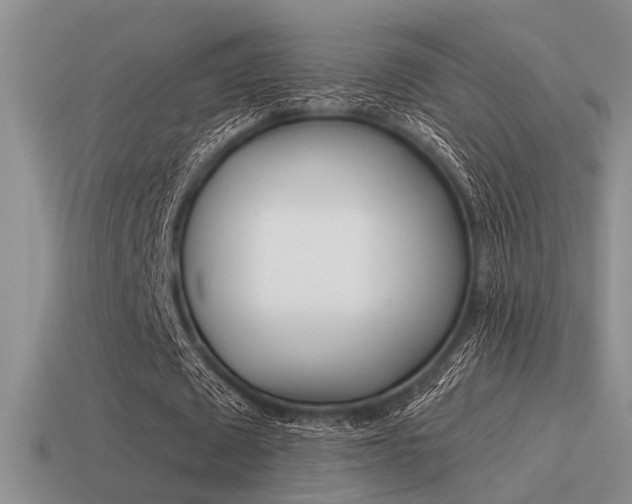 X0000115550673200911061127