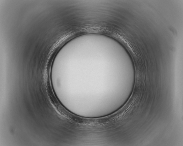 X0000115550674200911061127