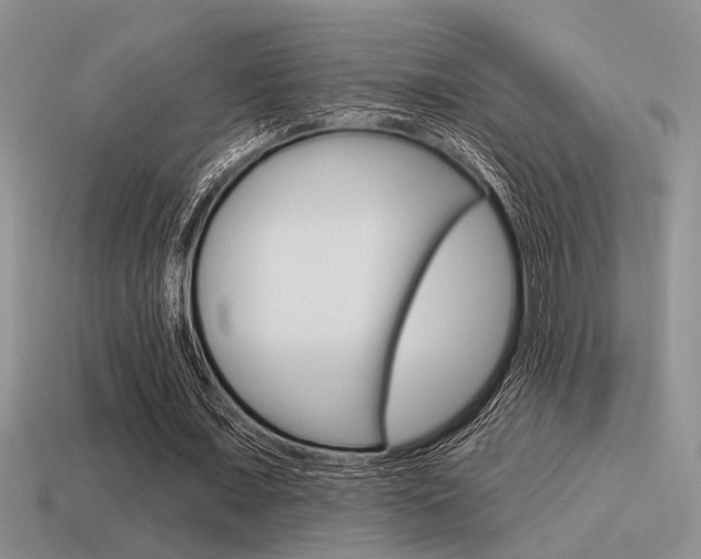 X0000115550675200911061127