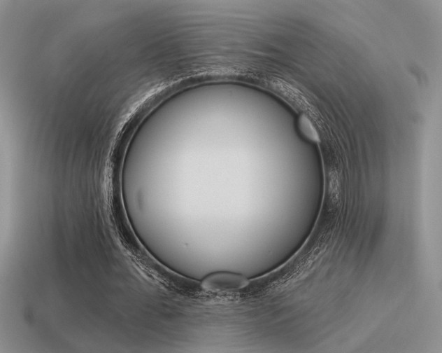X0000115550676200911061127