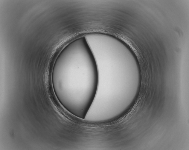 X0000115550677200911061127
