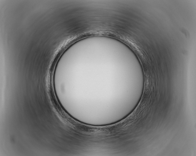 X0000115550678200911061127