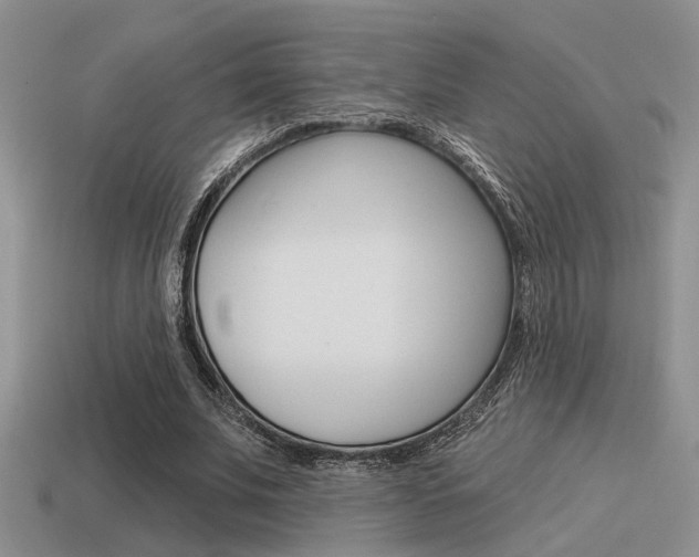 X0000115550679200911061127